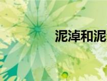 泥淖和泥沼的区别（泥淖）