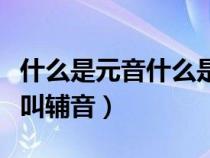 什么是元音什么是辅音字母（什么叫元音什么叫辅音）