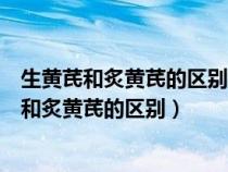 生黄芪和炙黄芪的区别功效与作用小孩能喝黄芪水（生黄芪和炙黄芪的区别）