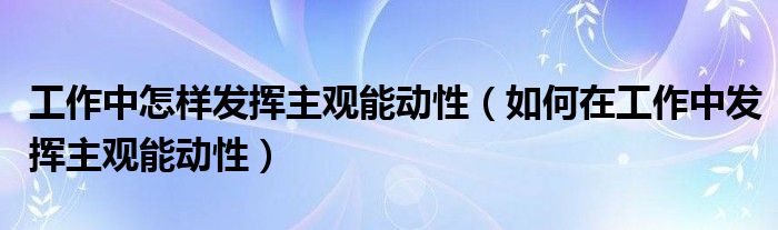工作中怎样发挥主观能动性（如何在工作中发挥主观能动性）