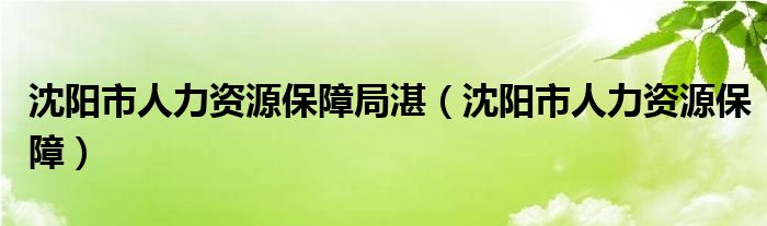 沈阳市人力资源保障局湛（沈阳市人力资源保障）