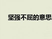 坚强不屈的意思造句（坚强不屈的意思）