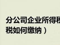 分公司企业所得税征收方式（分公司企业所得税如何缴纳）