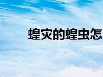 蝗灾的蝗虫怎么处理才没毒（蝗灾）