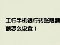 工行手机银行转账限额怎么设置不了（工行手机银行转账限额怎么设置）
