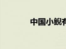 中国小鲵有毒吗（中国小鲵）