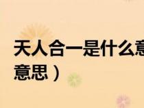 天人合一是什么意思南怀瑾（天人合一是什么意思）