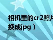 相机里的cr2照片怎么导出（相机cr2怎么转换成jpg）