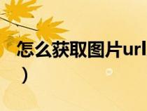 怎么获取图片url地址（如何获得图片url地址）