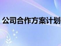 公司合作方案计划书（项目合作方案怎么写）