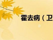 霍去病（卫青和霍去病的关系）