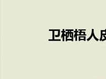 卫栖梧人皮书是谁（卫栖梧）
