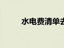 水电费清单去哪里打印（水电费）