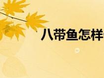 八带鱼怎样做才能好吃（八带）