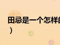田忌是一个怎样的人?（田忌是一个怎样的人）