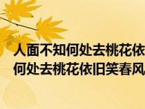 人面不知何处去桃花依旧笑春风意思相近的诗句（人面不知何处去桃花依旧笑春风的意思）