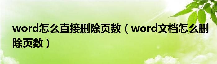 word怎么直接删除页数（word文档怎么删除页数）