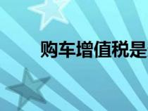 购车增值税是多少（增值税是多少）