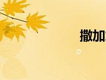 撒加加隆（撒加）