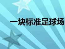 一块标准足球场的面积（足球场的面积）