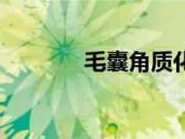 毛囊角质化怎么去除（毛囊）