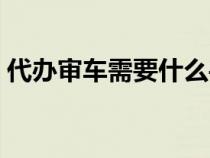 代办审车需要什么手续（审车需要什么手续）