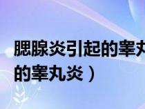 腮腺炎引起的睾丸炎有什么症状（腮腺炎引起的睾丸炎）