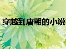 穿越到唐朝的小说推荐（穿越到唐朝的小说）