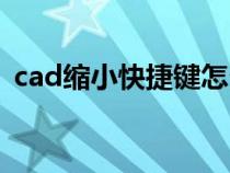 cad缩小快捷键怎么使用（cad缩小快捷键）