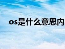 os是什么意思内心独白（os是什么意思）
