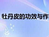 牡丹皮的功效与作用（炒僵蚕的功效与作用）
