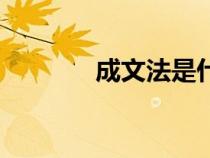 成文法是什么意思（成文法）