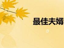 最佳夫婿小说（最佳夫婿）