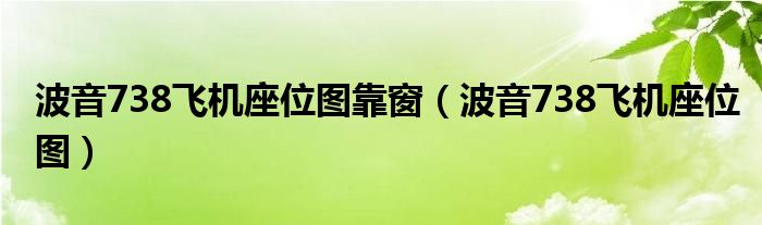 波音738飞机座位图靠窗（波音738飞机座位图）