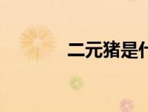 二元猪是什么品种（二元猪）