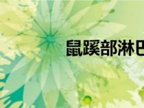 鼠蹊部淋巴结图片（鼠蹊部）