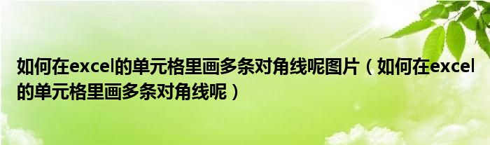 如何在excel的单元格里画多条对角线呢图片（如何在excel的单元格里画多条对角线呢）