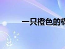 一只橙色的橘子英文（橘子英文）