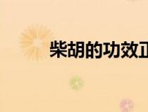 柴胡的功效正确答案（正确答案）