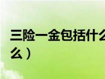 三险一金包括什么险什么金（三险一金包括什么）