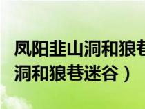 凤阳韭山洞和狼巷迷谷哪个好玩些（凤阳韭山洞和狼巷迷谷）
