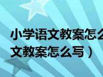 小学语文教案怎么写?有一般模板吗?（小学语文教案怎么写）
