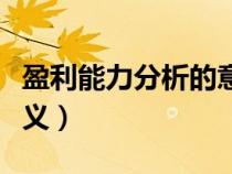 盈利能力分析的意义论文（盈利能力分析的意义）