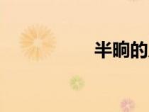 半晌的反义词（半晌）