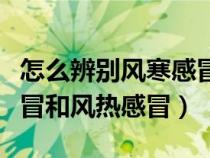 怎么辨别风寒感冒和风热感冒（什么是风寒感冒和风热感冒）