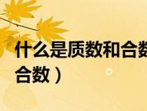 什么是质数和合数有什么区别（什么是质数和合数）