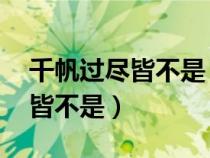 千帆过尽皆不是 斜晖脉脉水悠悠（千帆过尽皆不是）
