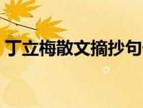 丁立梅散文摘抄句子（丁立梅散文摘抄赏析）