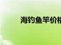 海钓鱼竿价格排行榜（海钓鱼竿）