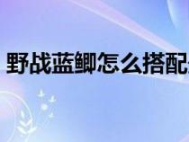 野战蓝鲫怎么搭配最好（野战蓝鲫怎么搭配）